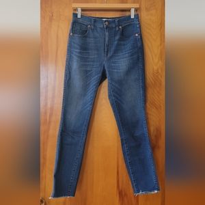 Madewell 10" High Riser Skinny Skinny Size 27 Denim Blue Jeans